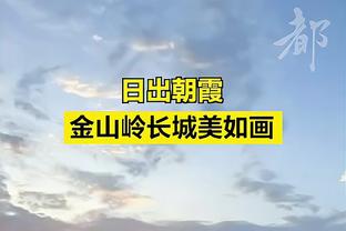 半岛综合体育app在线播放免费截图1